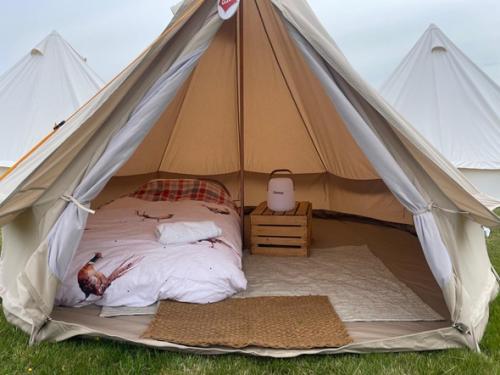 one-person-glamping-tent-2